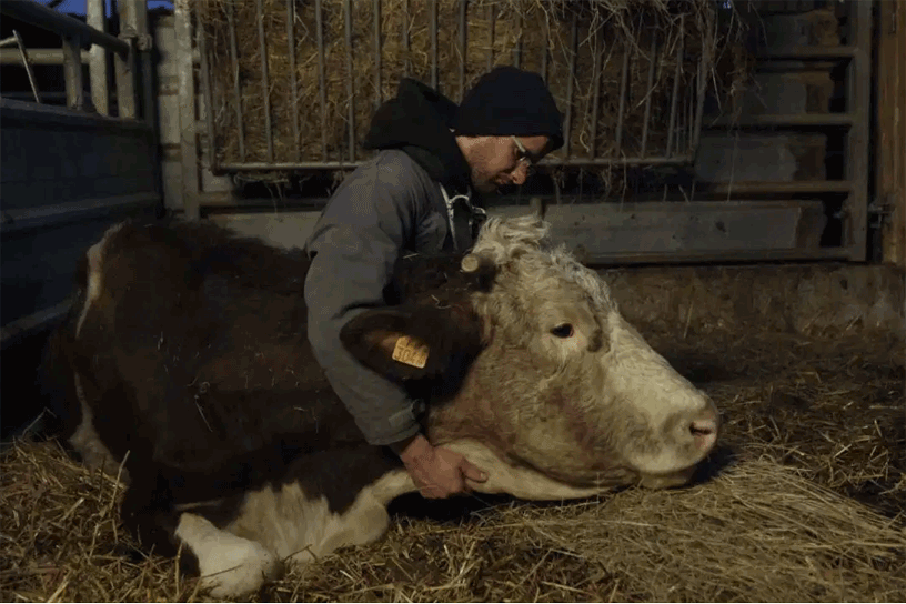 Cyrille, agriculteur, 30 ans, 20 vaches, du lait, du beurre, des dettes