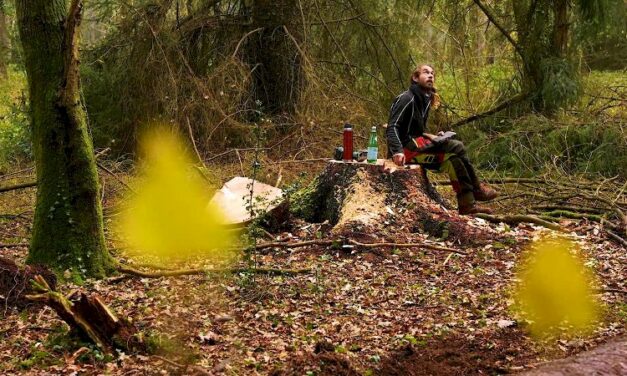 Forêt en résistance