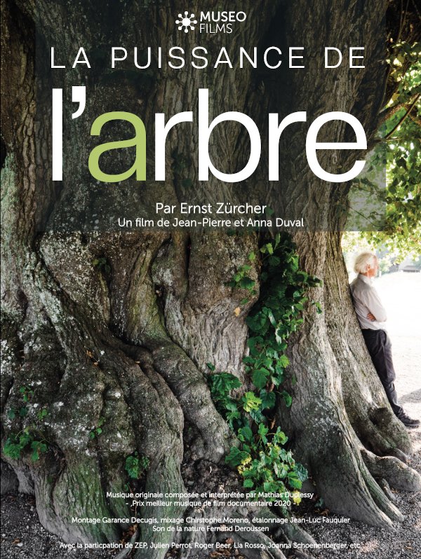 Affiche "la puissance de l'arbre"