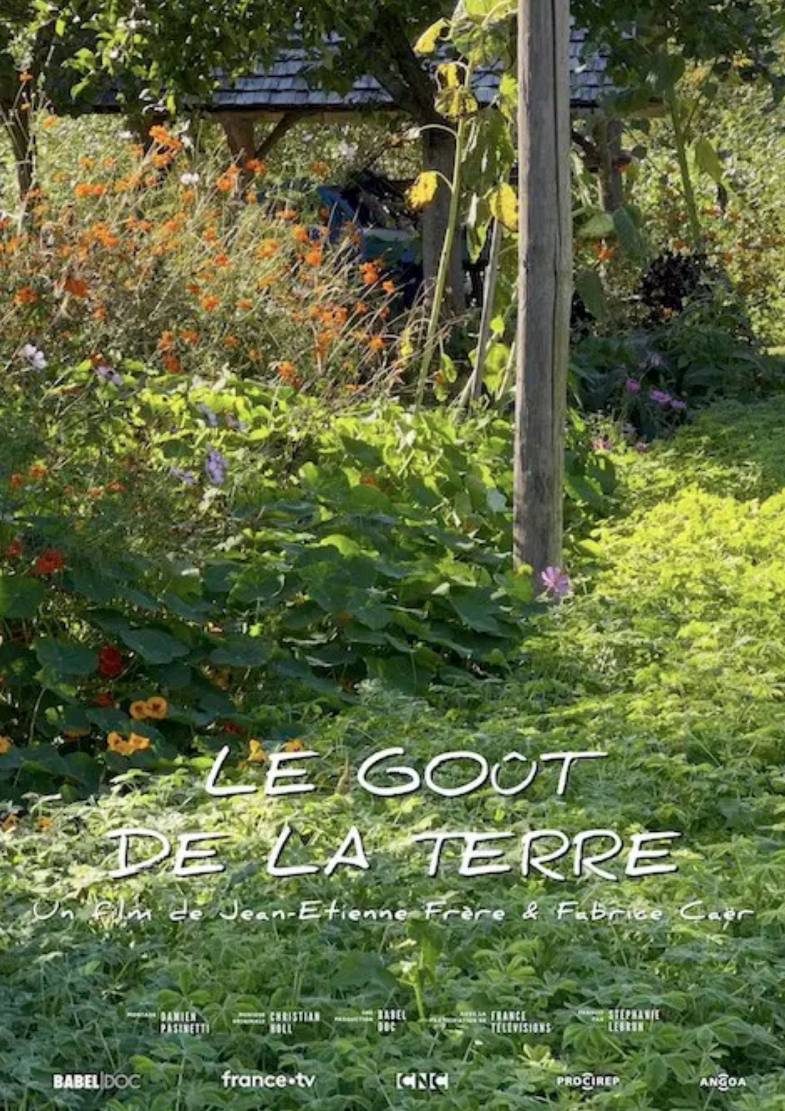 © Babel Doc Akeji, le souffle de la montagne